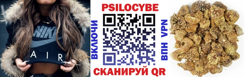 Псилоцибиновые грибы мухоморы  купить   KRAKEN как войти  Грозный 