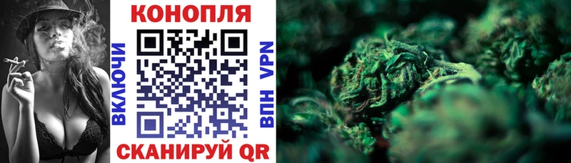Бошки Шишки Amnesia ОМГ ОМГ маркетплейс Грозный